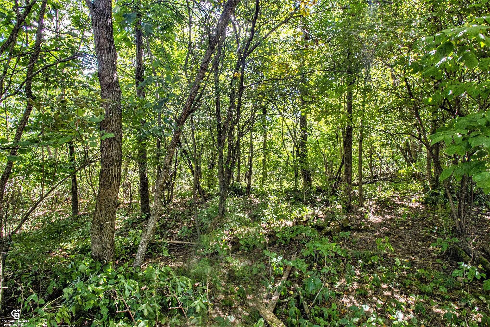 Dean Road Fenton, MI 48430 - Photo 13 of 13 Gallery Image 13