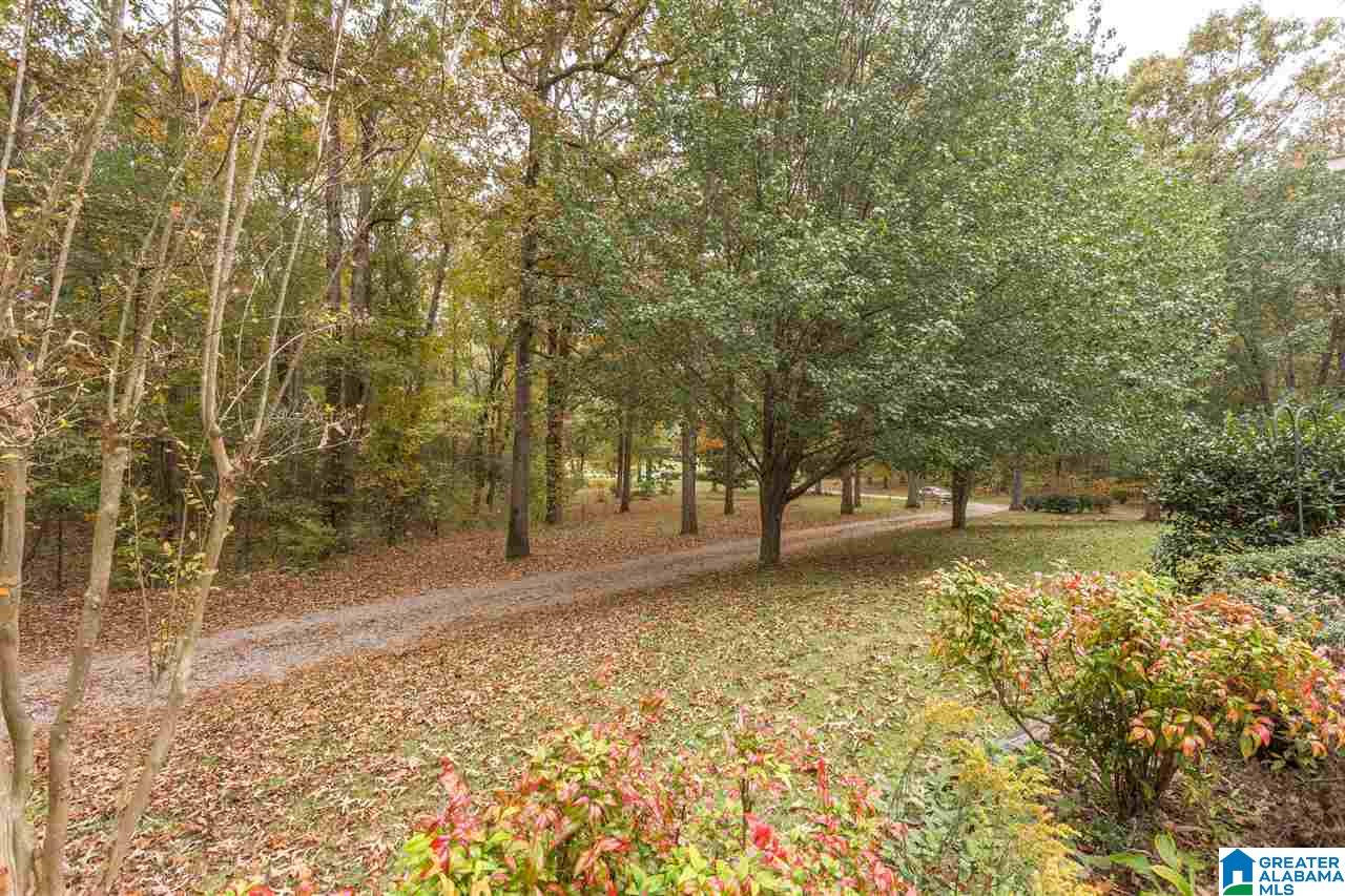 17935 Highway 75 Remlap, AL 35133 - Photo 28 of 30