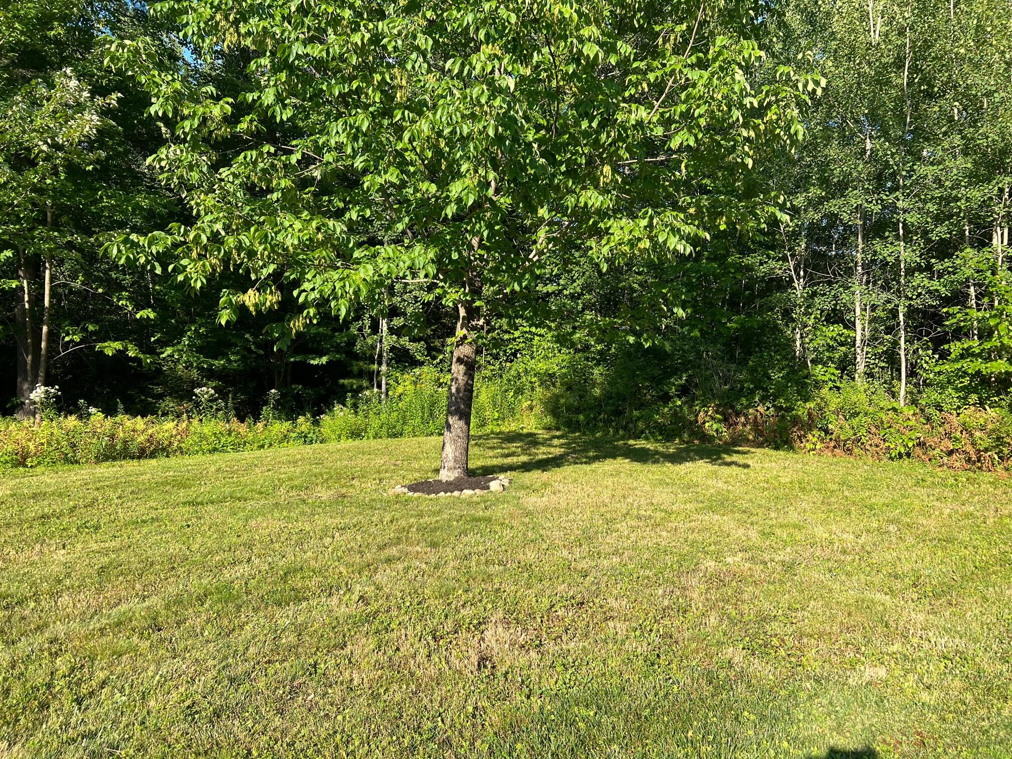 601 Ridge Road Fairfield, ME 04937 - Photo 7 of 37 IMG_1027