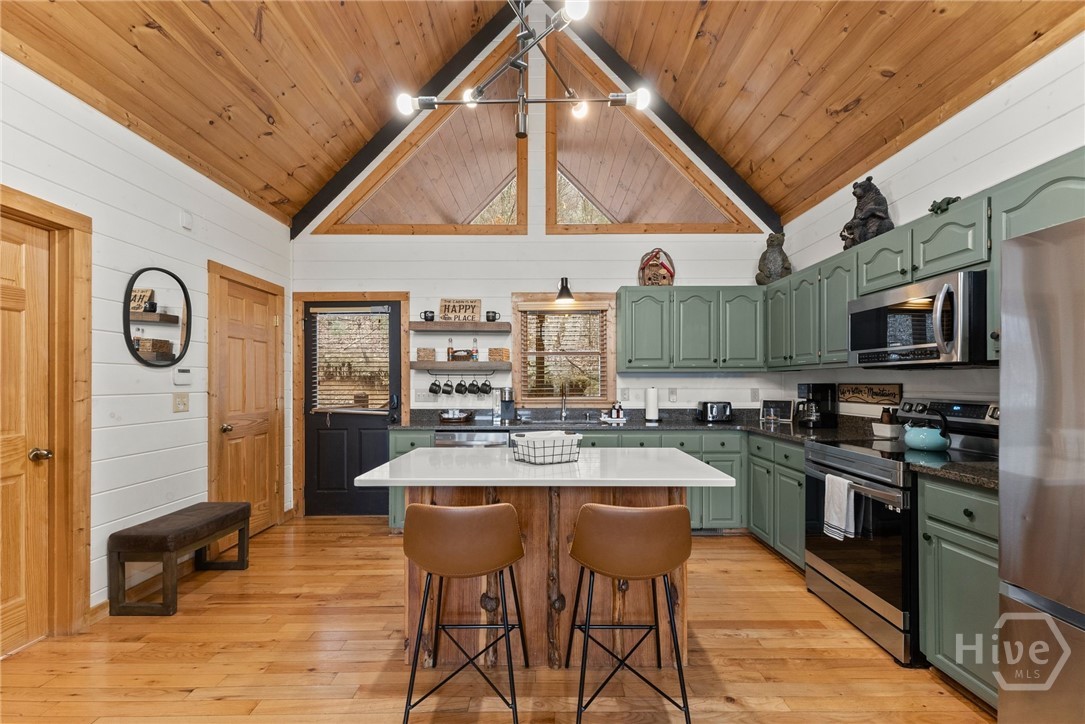 437 Spruce Circle Mineral Bluff, GA 30559 - Photo 3 of 52