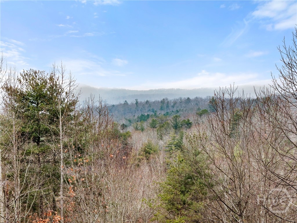 437 Spruce Circle Mineral Bluff, GA 30559 - Photo 42 of 52