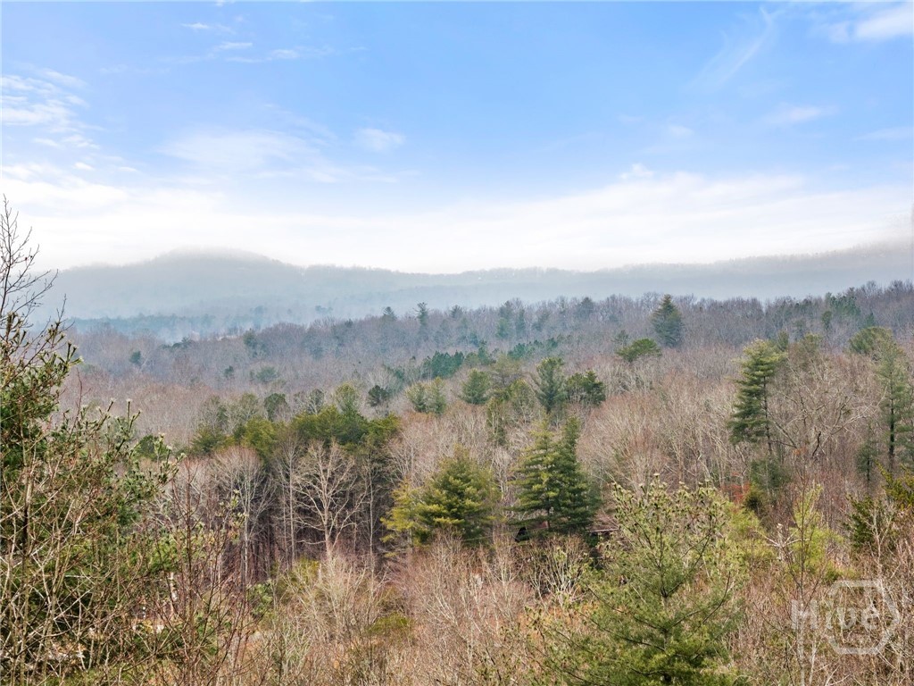 437 Spruce Circle Mineral Bluff, GA 30559 - Photo 43 of 52