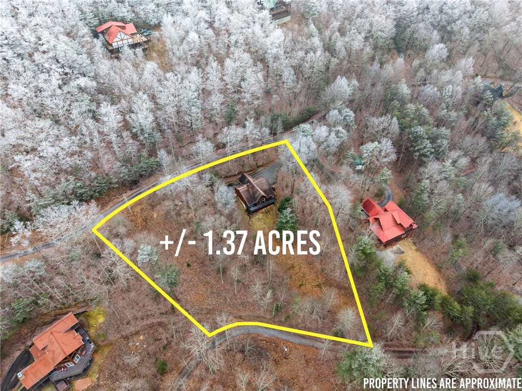 437 Spruce Circle Mineral Bluff, GA 30559 - Photo 46 of 52