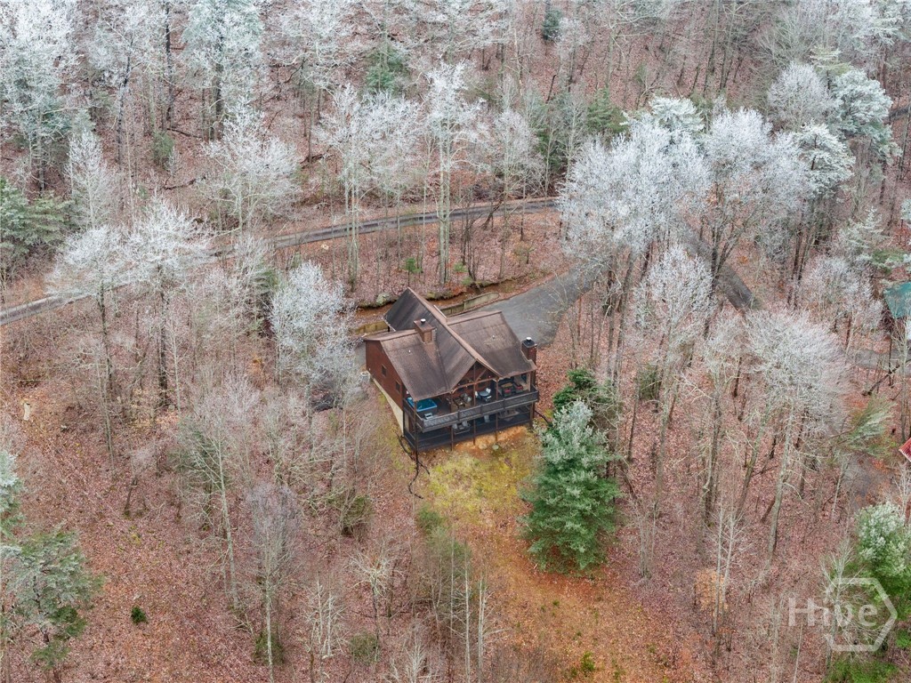 437 Spruce Circle Mineral Bluff, GA 30559 - Photo 47 of 52