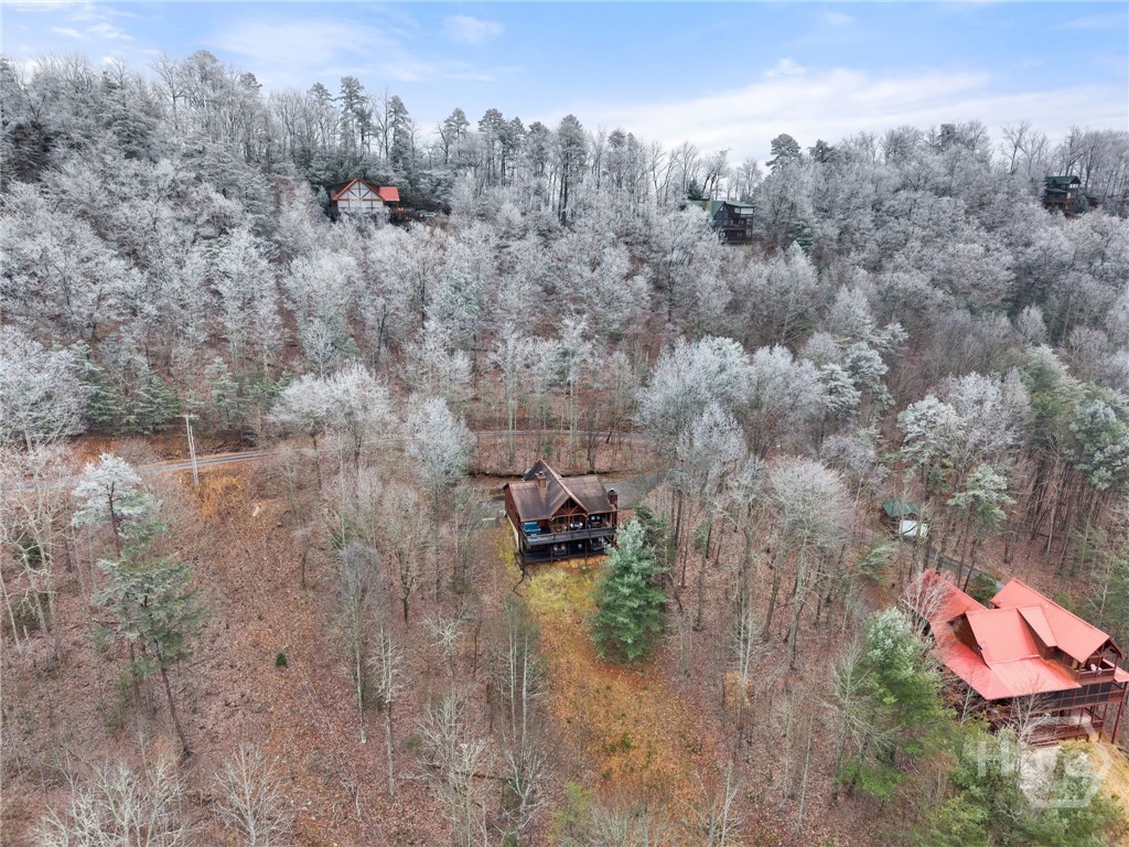 437 Spruce Circle Mineral Bluff, GA 30559 - Photo 48 of 52