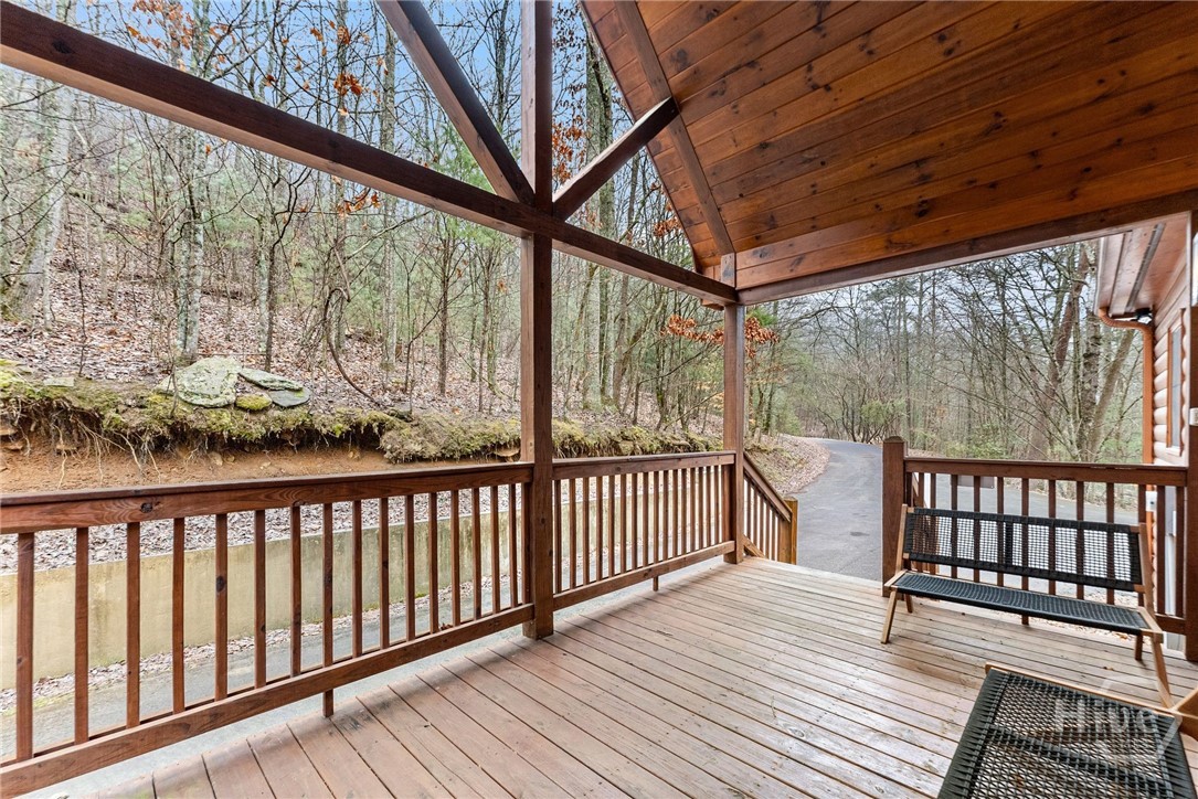 437 Spruce Circle Mineral Bluff, GA 30559 - Photo 50 of 52