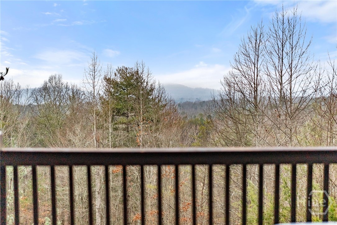 437 Spruce Circle Mineral Bluff, GA 30559 - Photo 7 of 52