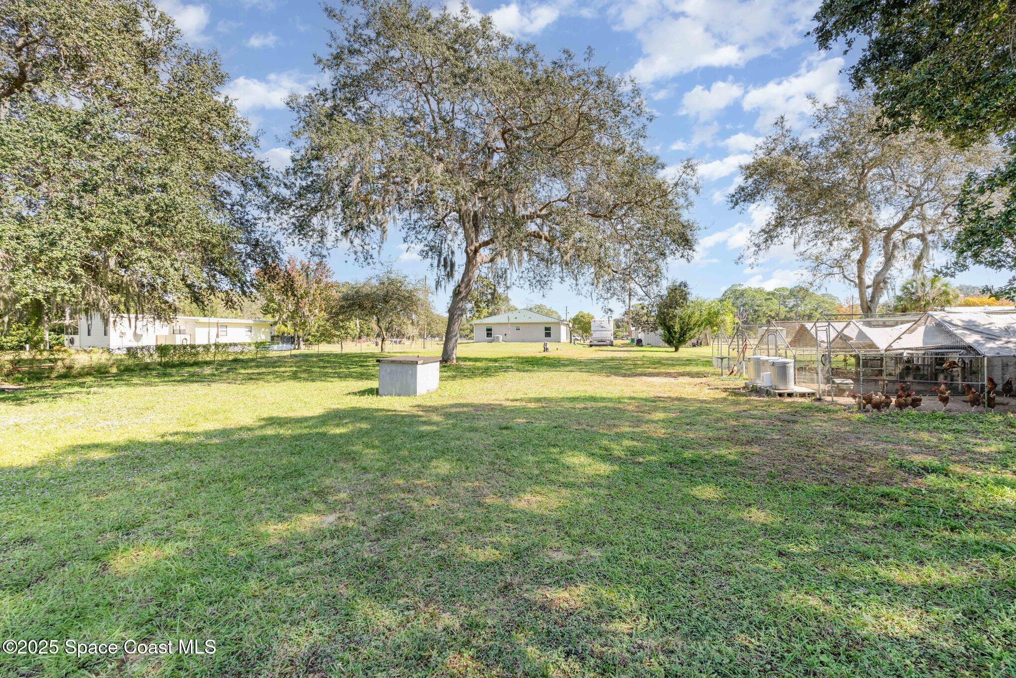 6786 U.S. Rte 1 Mims, FL 32754 - Photo 26 of 33 a view of yard with trees