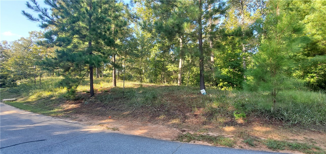 Lot E2 Pixie Moss Way Sunset, SC 29685 - Photo 1 of 19 Gallery Image 1