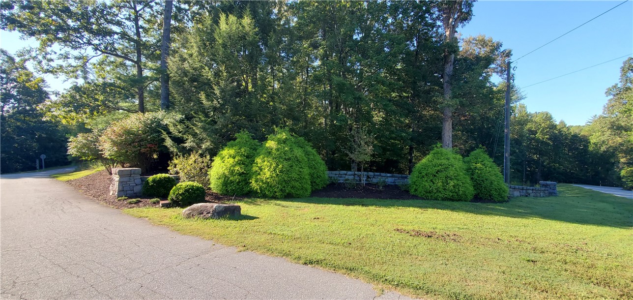 Lot E2 Pixie Moss Way Sunset, SC 29685 - Photo 3 of 19 Gallery Image 3