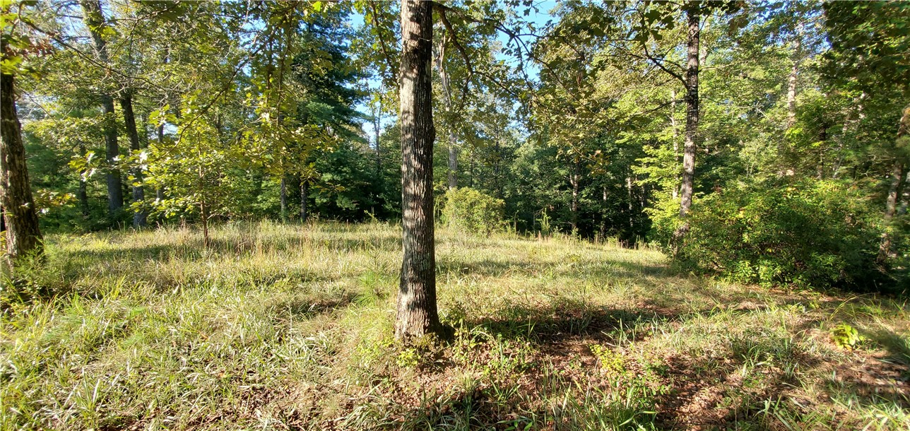 Lot E2 Pixie Moss Way Sunset, SC 29685 - Photo 4 of 19 Gallery Image 4