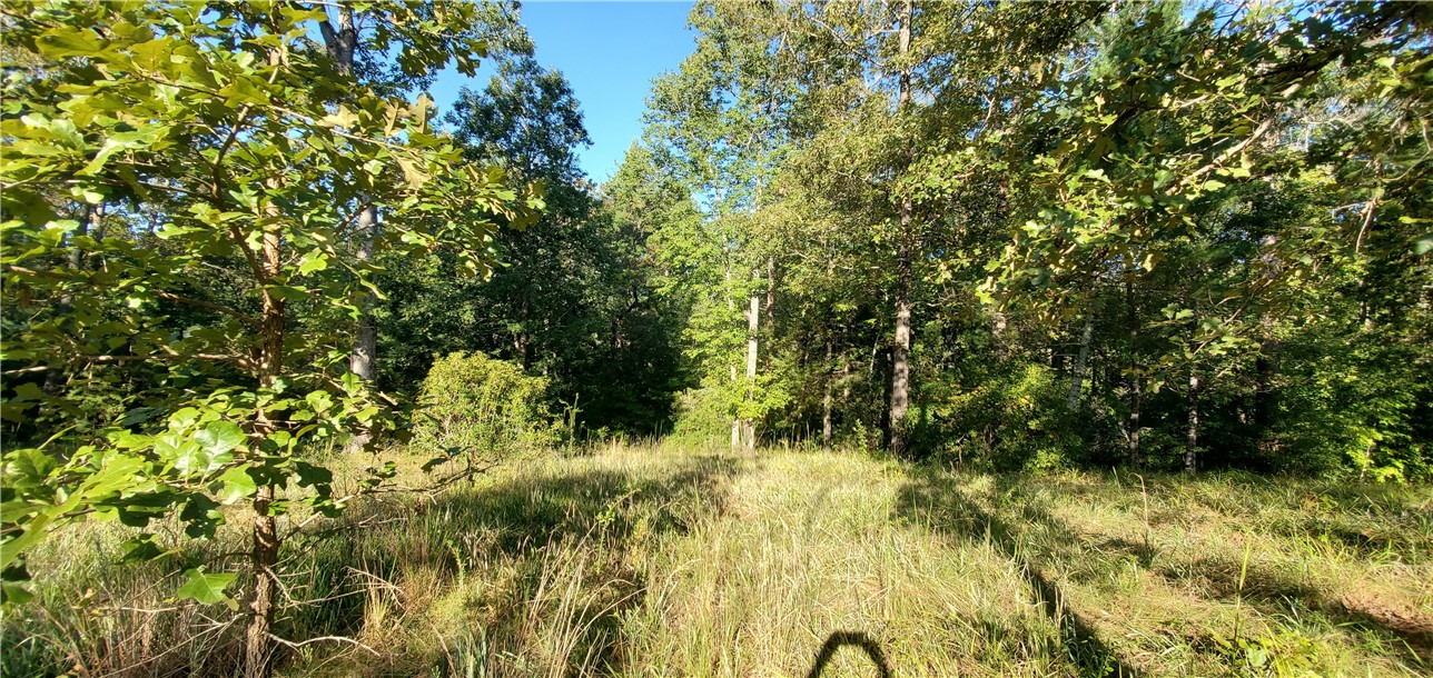 Lot E2 Pixie Moss Way Sunset, SC 29685 - Photo 5 of 19 Gallery Image 5