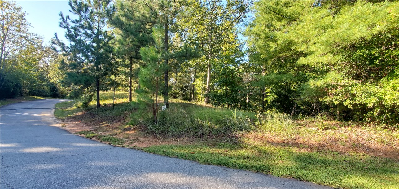 Lot E2 Pixie Moss Way Sunset, SC 29685 - Photo 6 of 19 Gallery Image 6