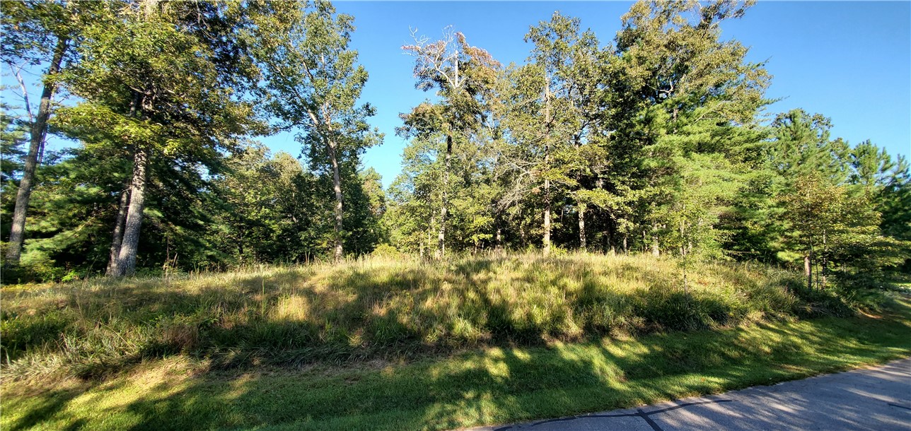 Lot E2 Pixie Moss Way Sunset, SC 29685 - Photo 7 of 19 Gallery Image 7
