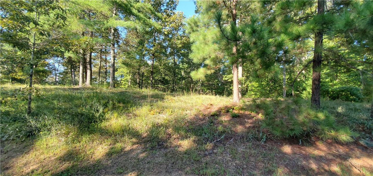 Lot E2 Pixie Moss Way Sunset, SC 29685 - Photo 9 of 19 Gallery Image 9