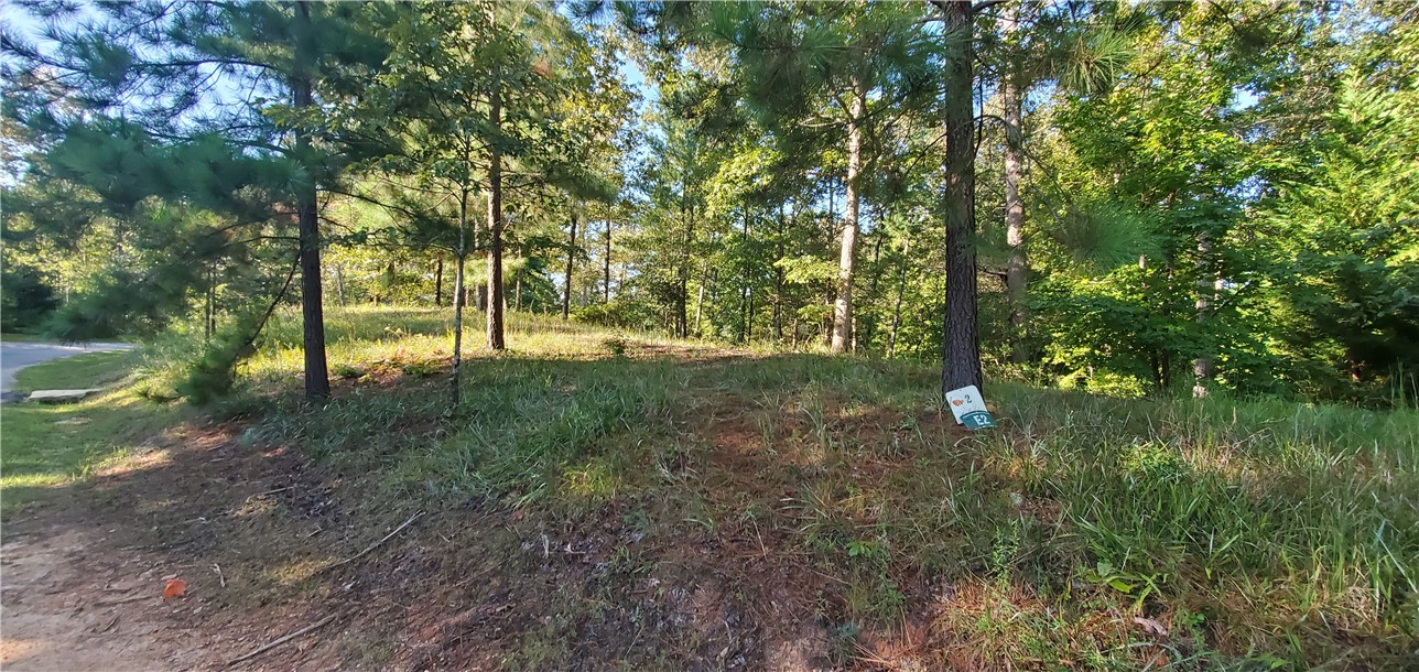 Lot E2 Pixie Moss Way Sunset, SC 29685 - Photo 10 of 19 Gallery Image 10
