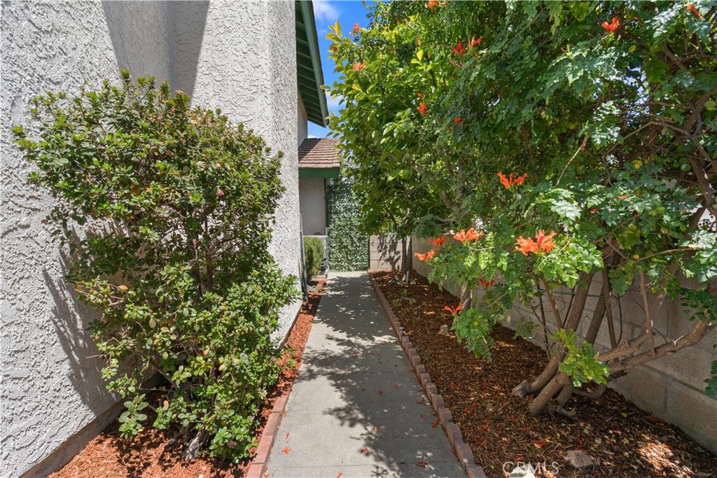 9046 Culpepper Street Rancho Cucamonga, CA 91730 - Photo 47 of 66 South Side Walkway And Fruit Trees