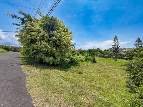 a view of a back yard of the house