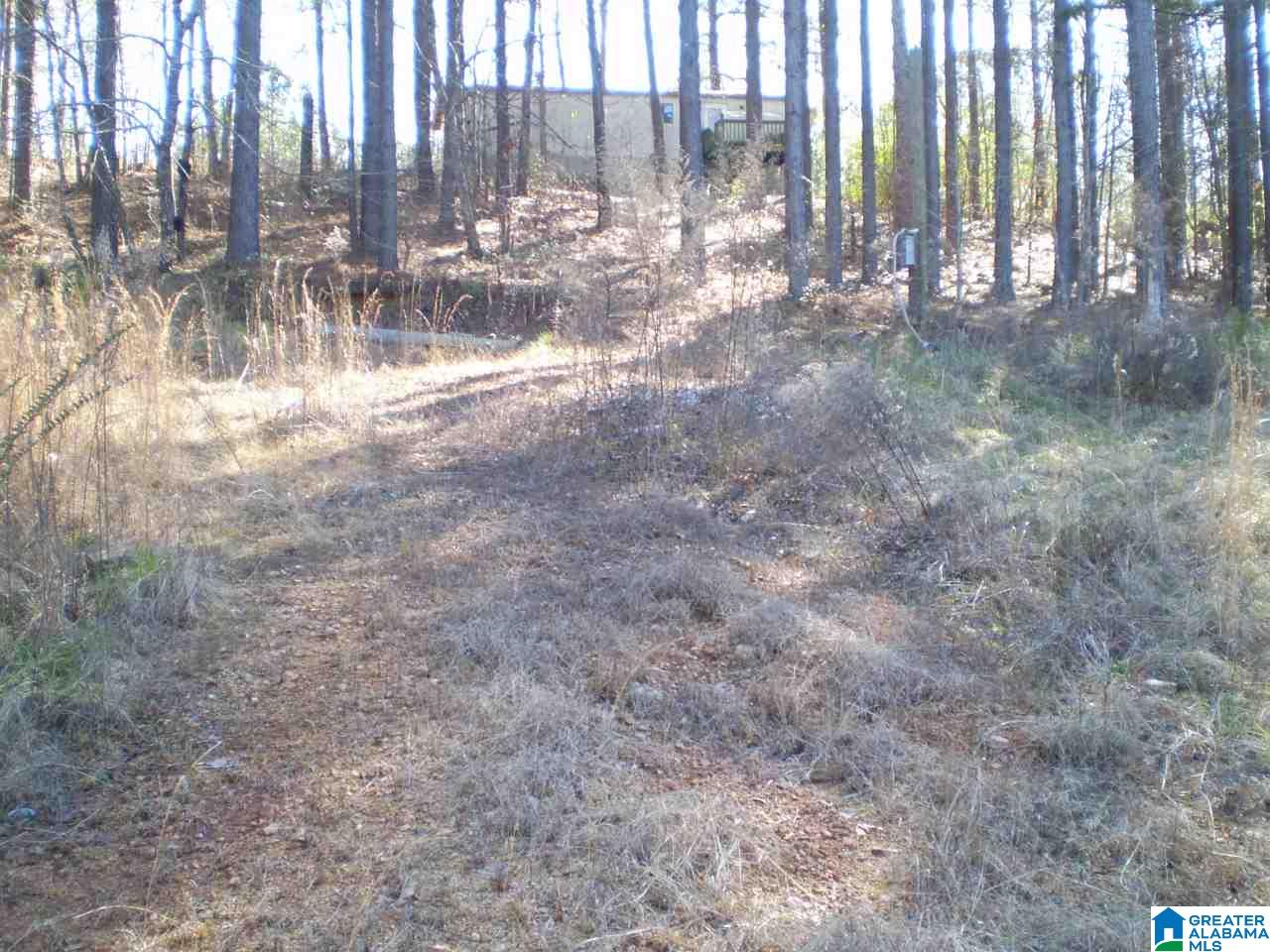 170 Pine Ridge Lane, Unit TRACT A Pell City, AL 35125 - Photo 12 of 15