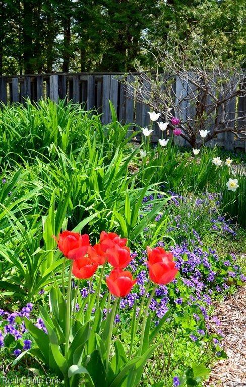 3453 East Sutton Road Dryden, MI 48428 - Photo 21 of 25 Butterfly Garden