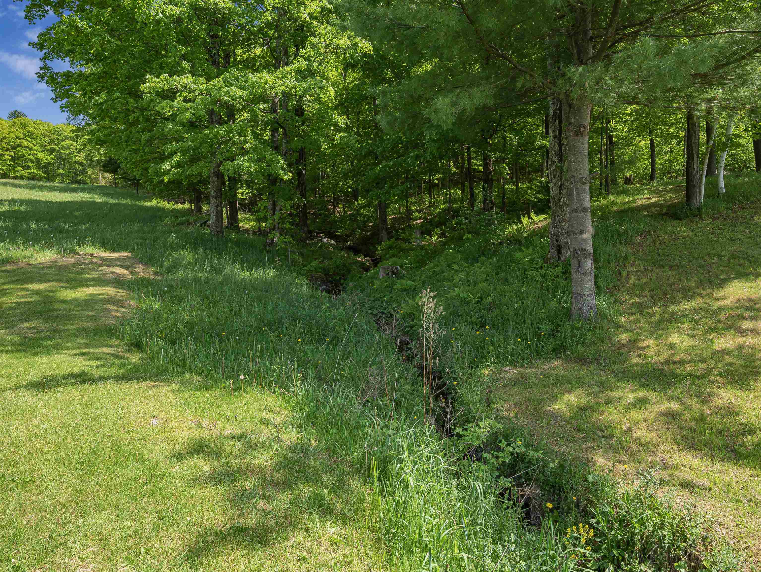 174 Biddie Knob Road Hubbardton, VT 05735 - Photo 28 of 31