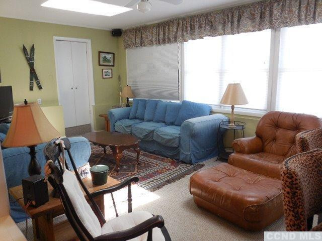 1010 Lakeview Road Copake, NY 12516 - Photo 8 of 10 a living room with furniture and a window