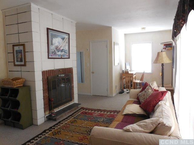 1010 Lakeview Road Copake, NY 12516 - Photo 10 of 10 a living room with furniture and a rug