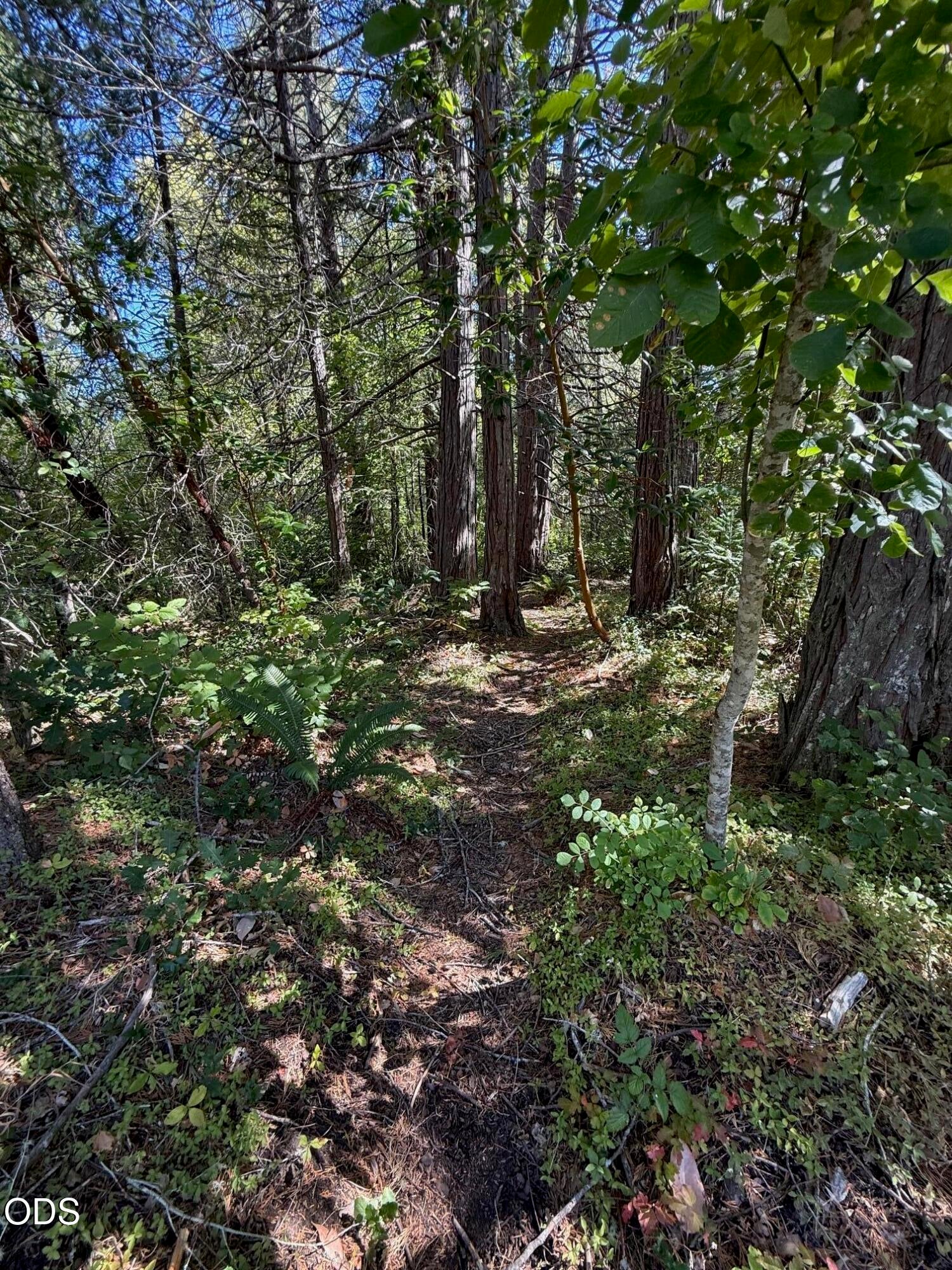705 Lone Mountain Road O'Brien, OR 97534 - Photo 35 of 44 Gallery Image 35