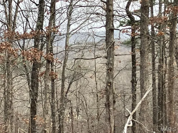 $22,595 | 209 Madison Street, Fredericktown, MO 63645