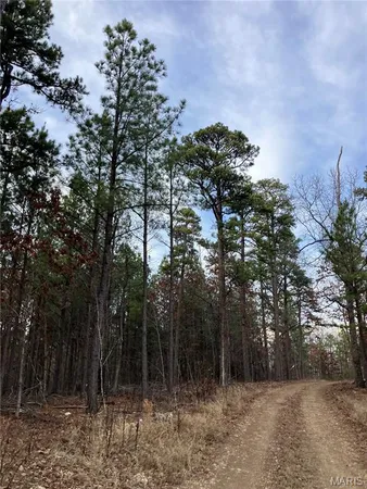 $22,595 | 209 Madison Street, Fredericktown, MO 63645