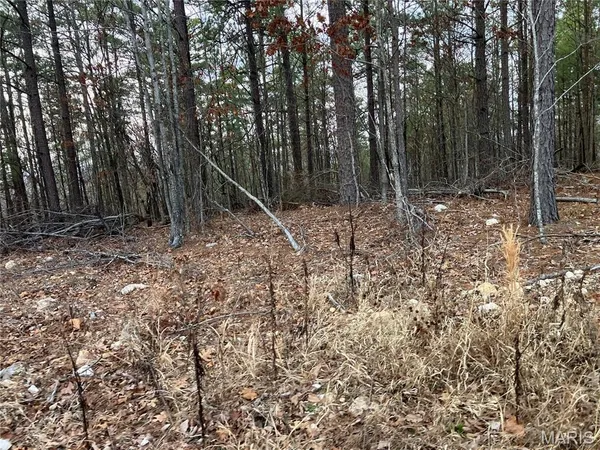 $22,595 | 209 Madison Street, Fredericktown, MO 63645