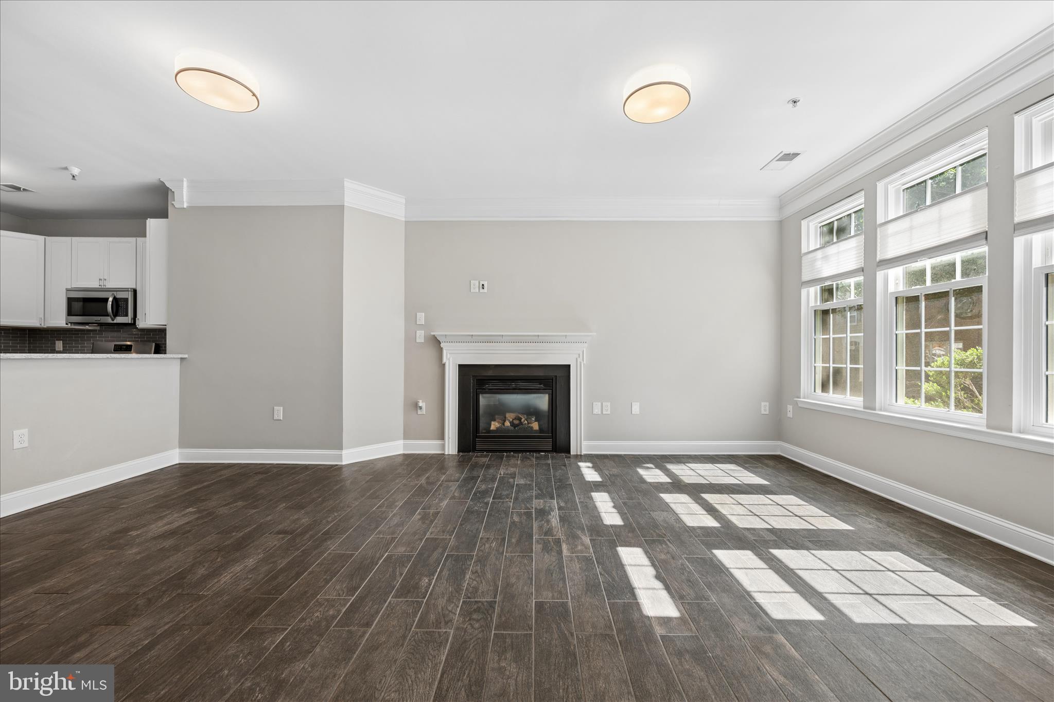 123 Bucksfield Road, Unit 123 Gaithersburg, MD 20878 - Photo 6 of 49 Living Room