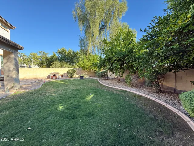 a view of backyard and tree