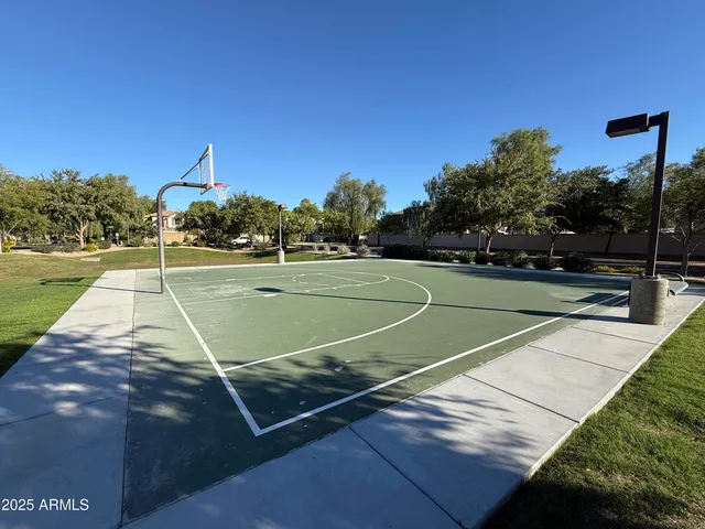 a view of a yard with large trees