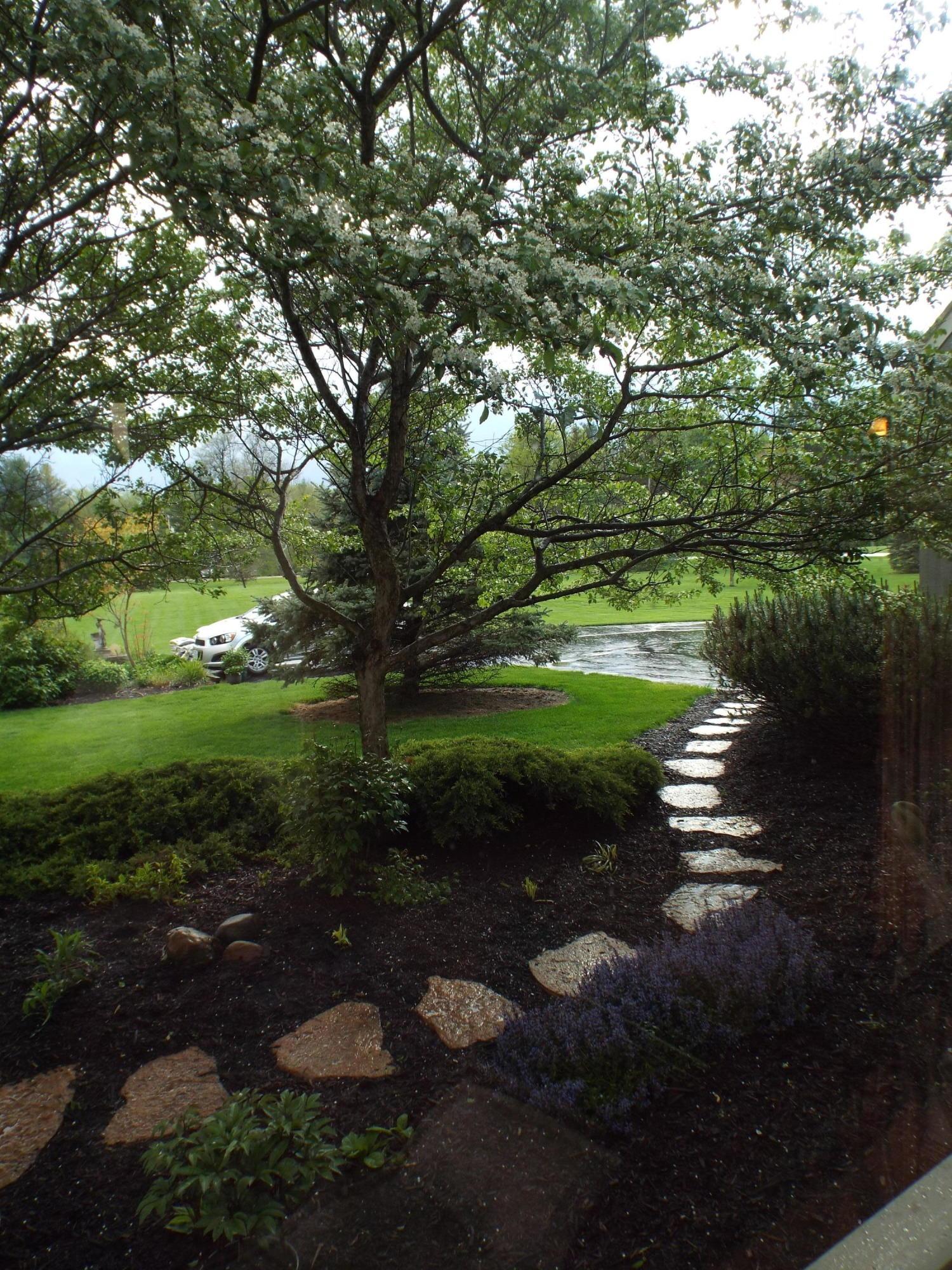 8863 Carter Road Hilliard, OH 43026 - Photo 6 of 70 Gallery Image 6