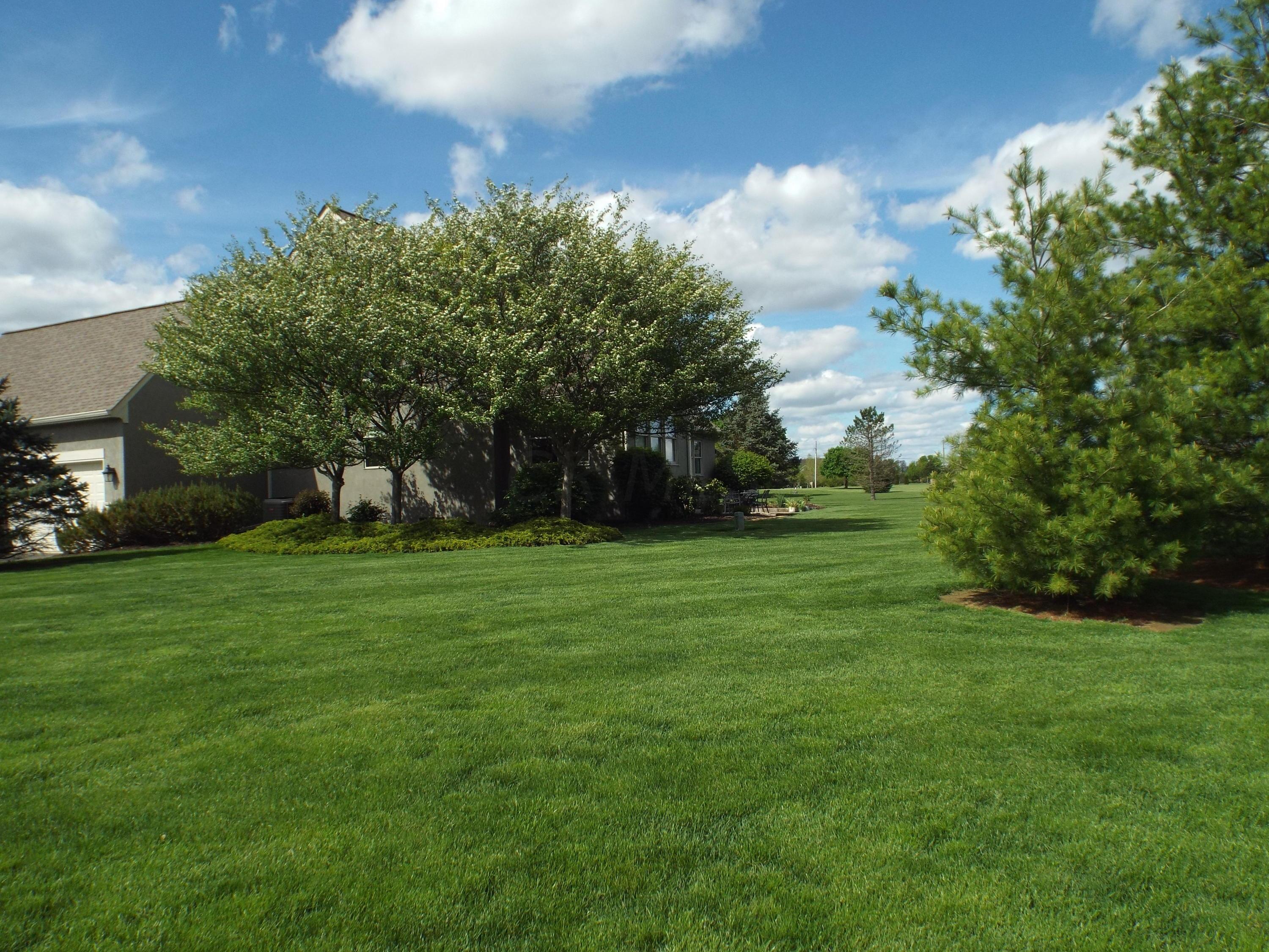 8863 Carter Road Hilliard, OH 43026 - Photo 62 of 70 Gallery Image 62