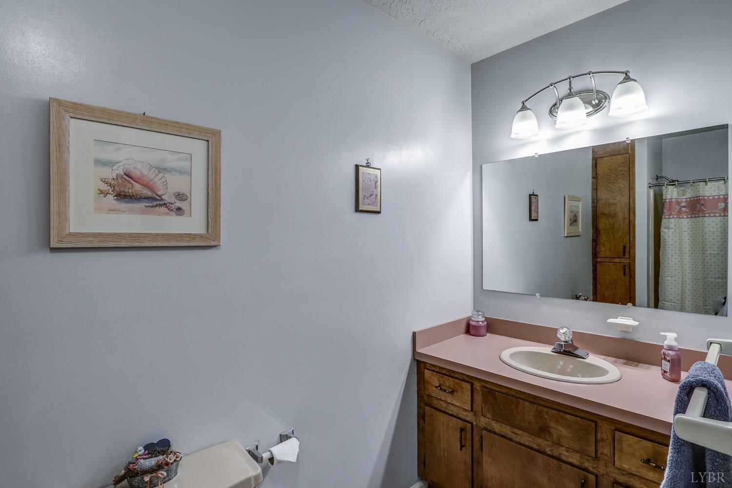 759 Farfields Drive Lynchburg, VA 24502 - Photo 33 of 53 a bathroom with a sink and a mirror