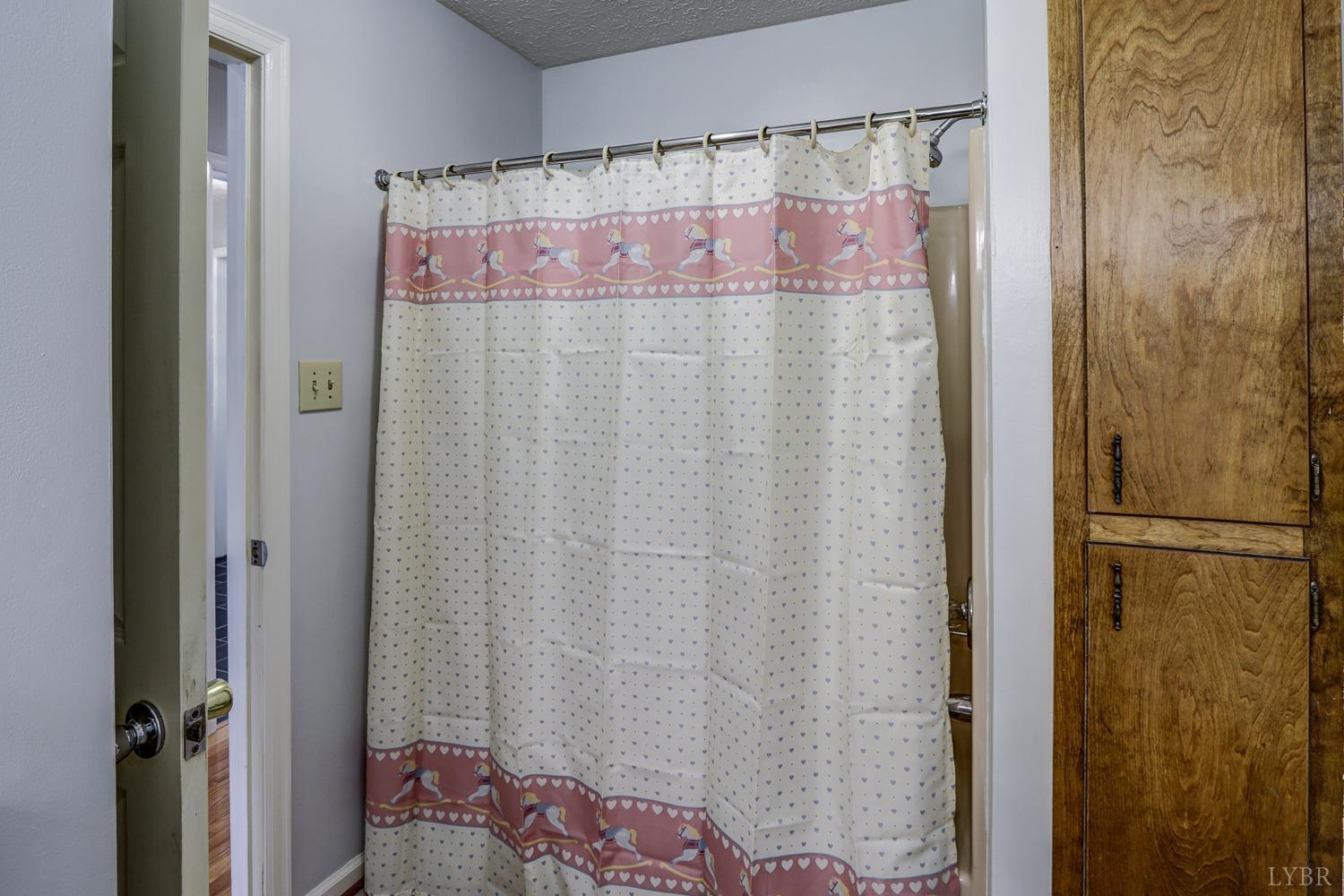 759 Farfields Drive Lynchburg, VA 24502 - Photo 34 of 53 a bathroom with a shower curtain and a shower curtain