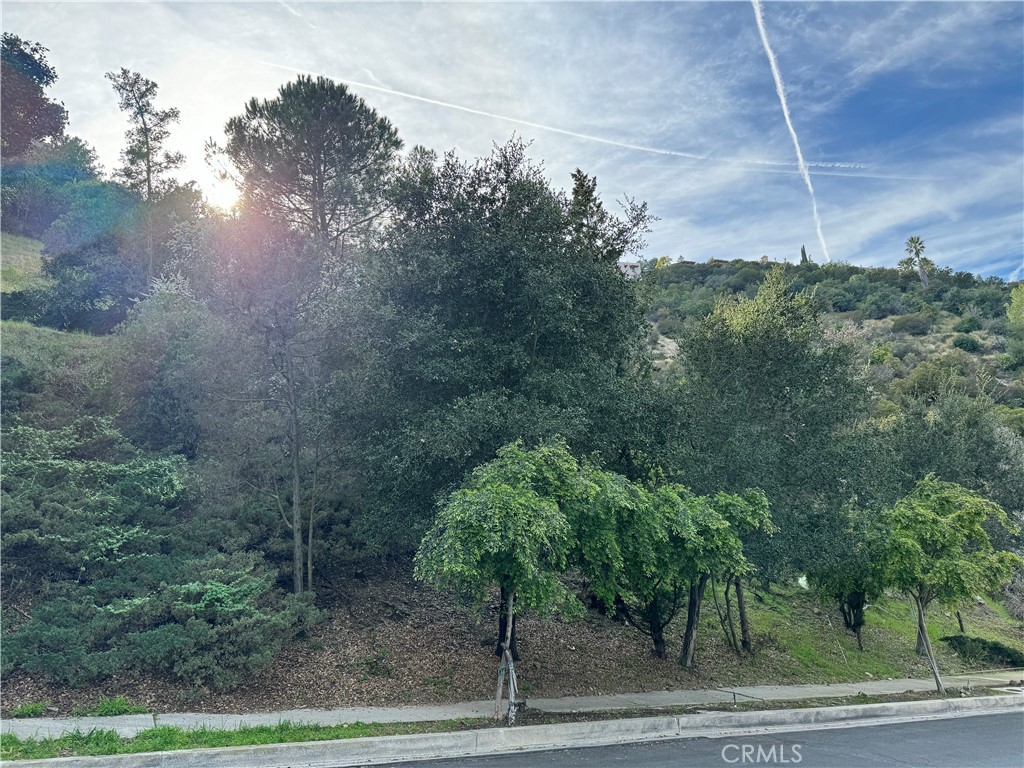 2485 Jupiter Drive Los Angeles, CA 90046 - Photo 2 of 12 a view of a yard