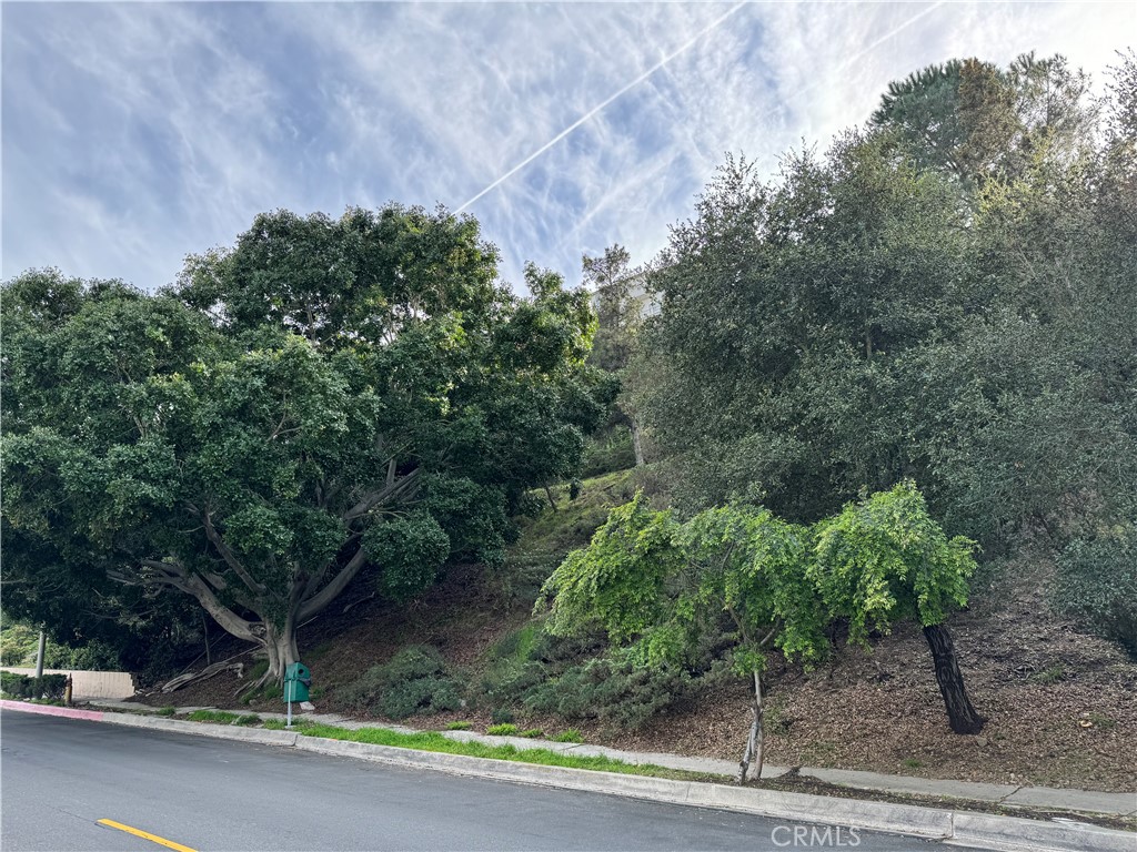 2485 Jupiter Drive Los Angeles, CA 90046 - Photo 10 of 12 a backyard of a house with lots of green space
