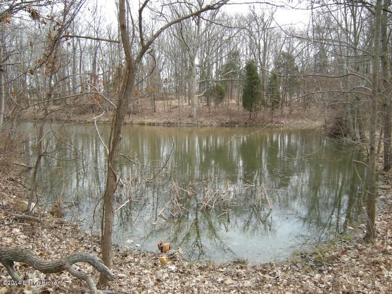 359 Tree Farm Road, Unit TRACT 5 Bedford, KY 40006 - Photo 1 of 5 26