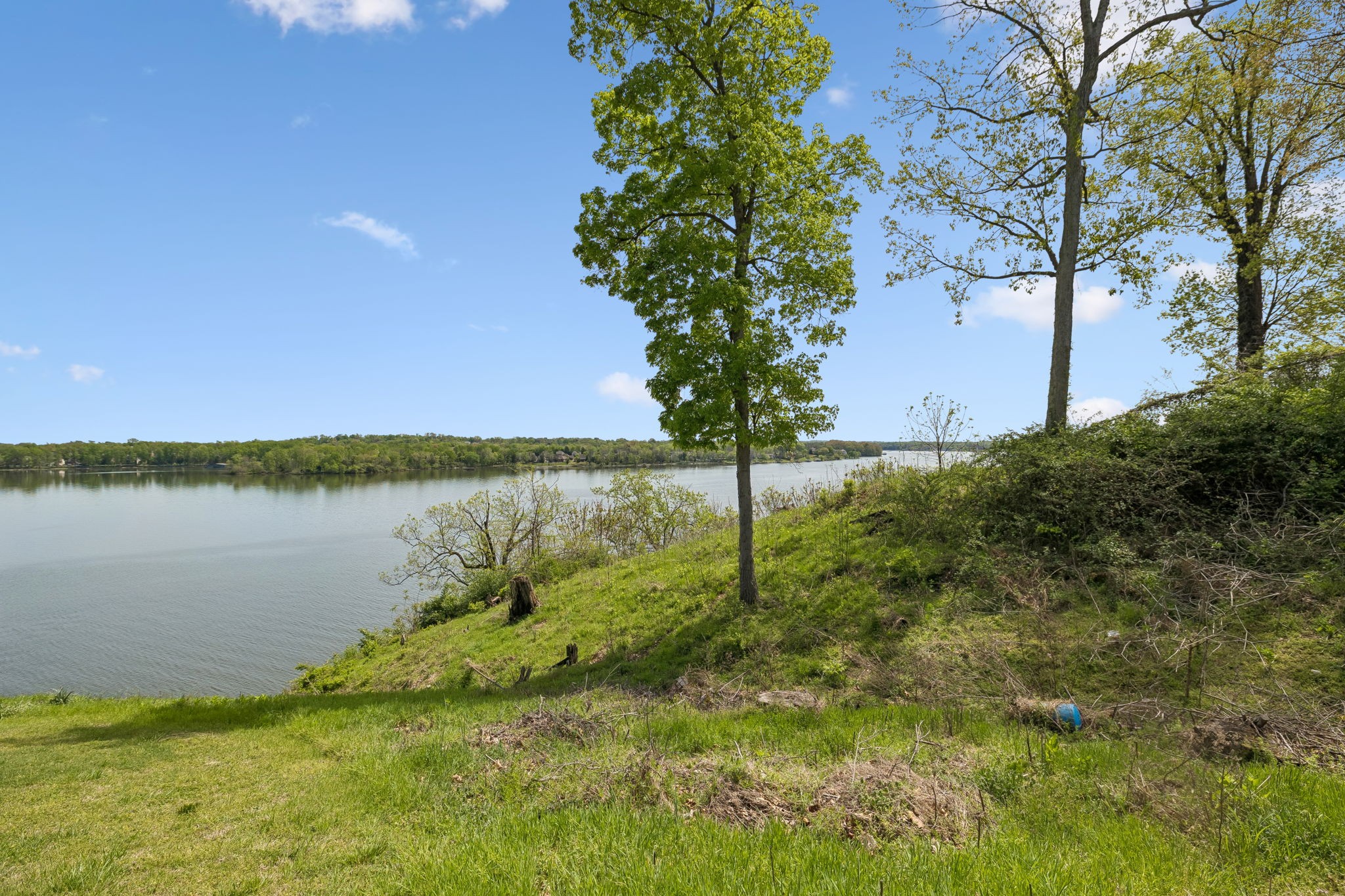 403 Jones Street Old Hickory, TN 37138 - Photo 4 of 98