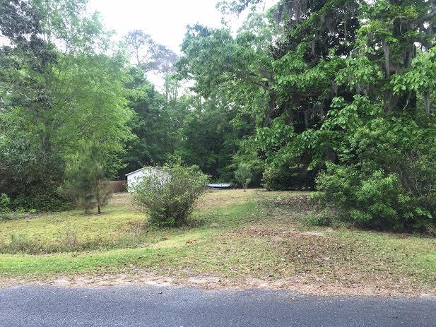 4520 Smoak Road Meggett, SC 29449 - Photo 3 of 5 Stret View