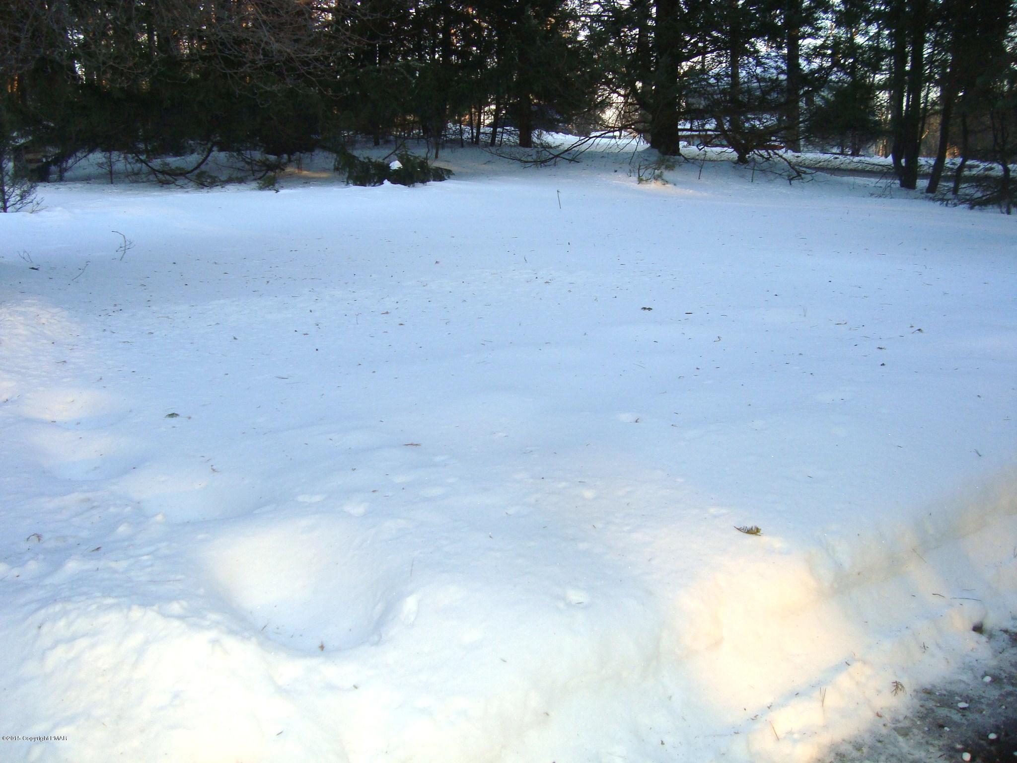 879 Lower Swiftwater Road Cresco, PA 18326 - Photo 54 of 65 front yard.JPG