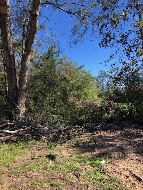 0 East Huffman-cleveland Road East Huffman, TX 77336 - Photo 4 of 6