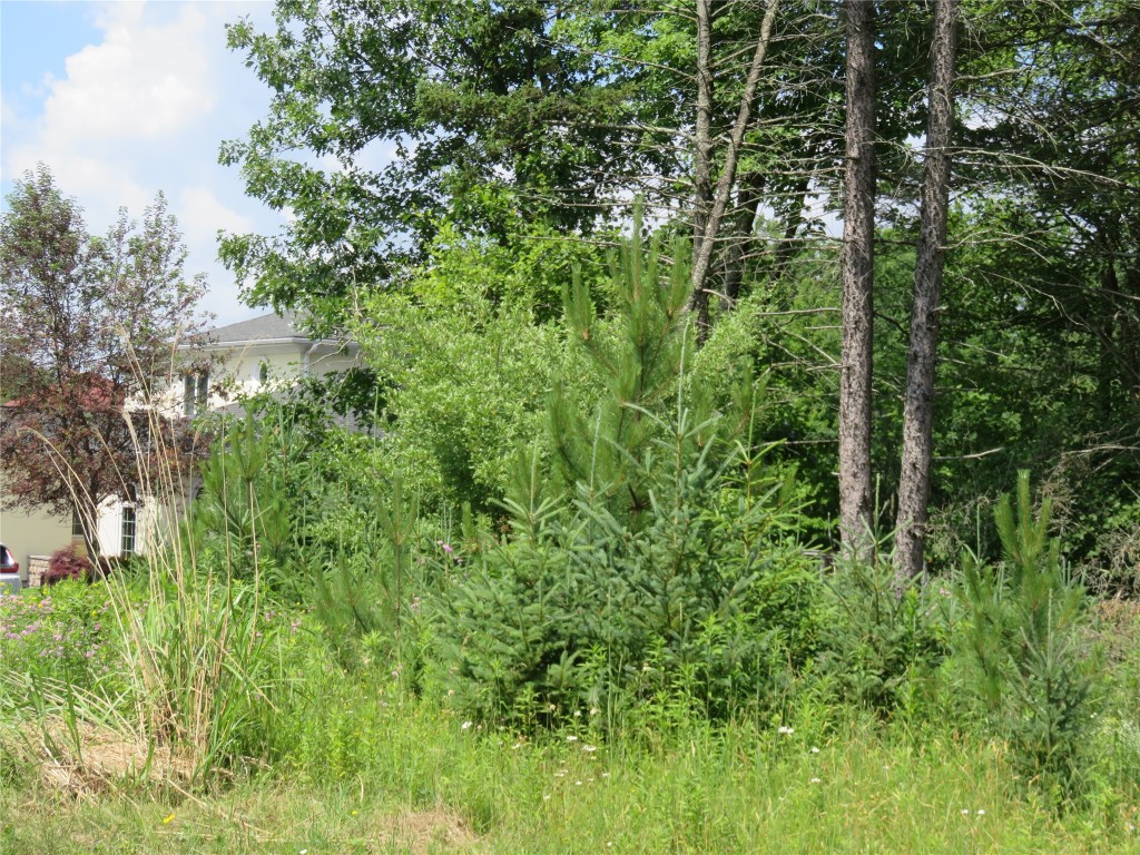 160 Briarview Road Vestal, NY 13850 - Photo 3 of 8 Gallery Image 3