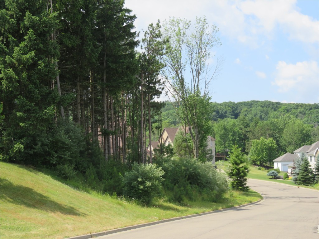 160 Briarview Road Vestal, NY 13850 - Photo 4 of 8 Gallery Image 4