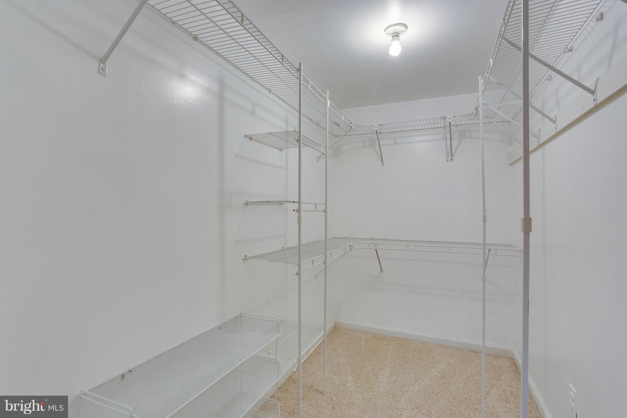 5812 Cove Landing Road, Unit 102 Burke, VA 22015 - Photo 23 of 30 Walk-in Closet