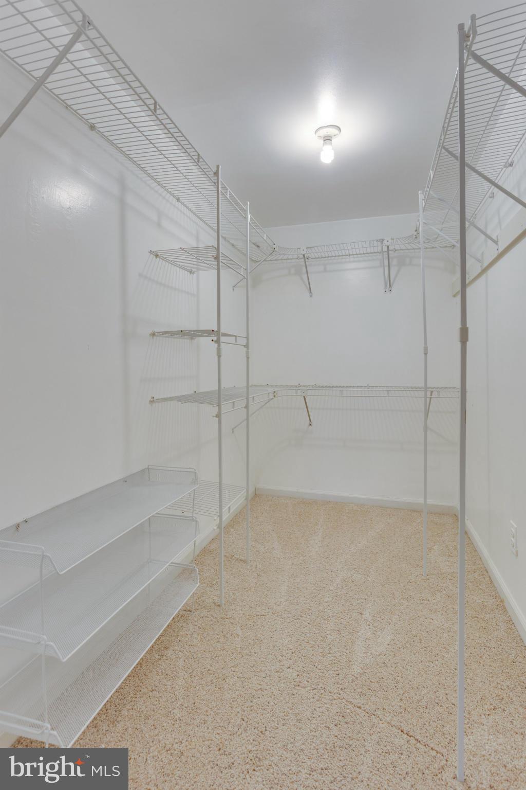 5812 Cove Landing Road, Unit 102 Burke, VA 22015 - Photo 24 of 30 Walk-in Closet