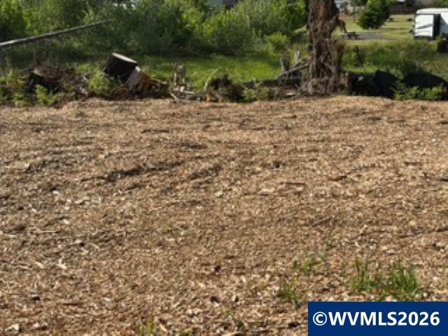 310 Detroit Road South Detroit, OR 97342 - Photo 14 of 17